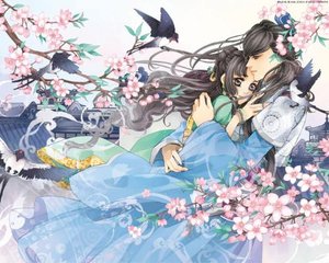 蘑菇tv成版入口电脑版